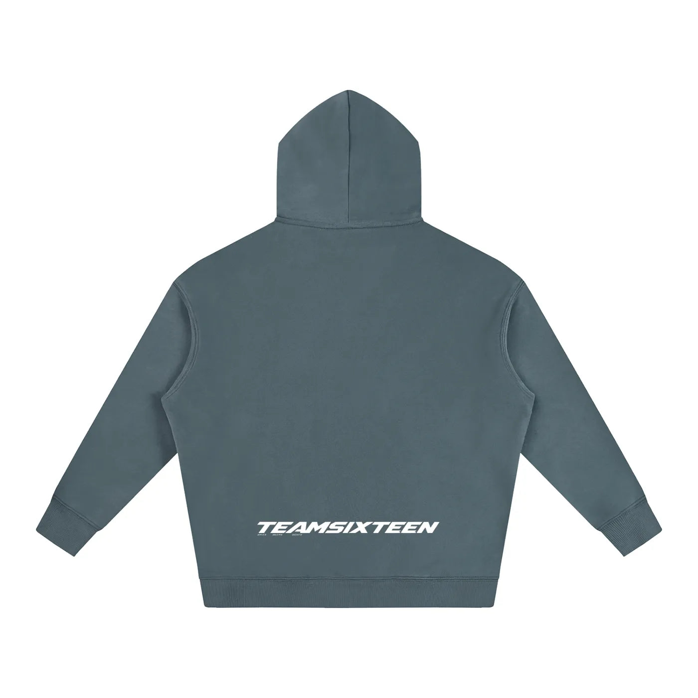 Team 16 Grey Blue Hoodie